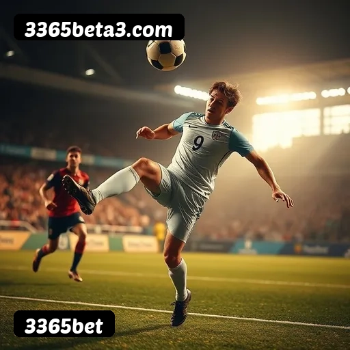 Recursos Exclusivos do App 3365bet - Modo Offline, Login Biométrico